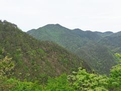 -四明山国家森林公园