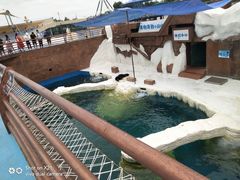 -秦皇岛乐岛海洋王国