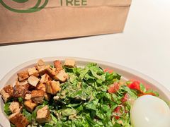 -油梨树AVOCADO TREE(嘉里中心店)