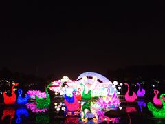 -映月湖公园