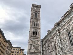 -圣母百花大教堂穹顶