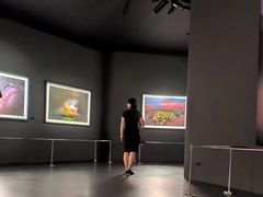 -罗红摄影艺术馆