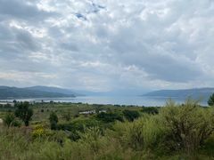 -阳宗海湿地