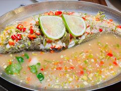 -佬肥猫(国华广场店)