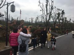 -枫香湖儿童公园