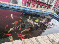 -登瀛楼饭庄(领世郡店)