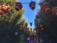 -红螺寺