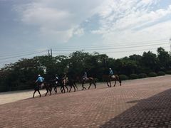 -太阳岛度假酒店