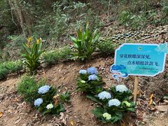 -广州白江湖森林公园