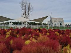 -天津东丽湖风景区