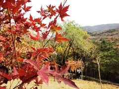 -北京十三陵国家森林公园蟒山景区