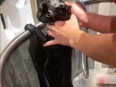 -PETKIT 小佩宠物·低压洗护·美容·寄养(安远店)