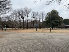 -井之头恩赐公园