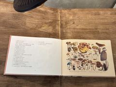 -半吨 Halfton&Friends(车公庙店)