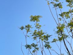-两江幸福广场