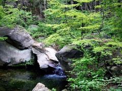 -黑龙潭风景区