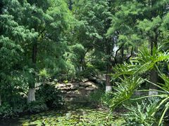 -广西壮族自治区药用植物园