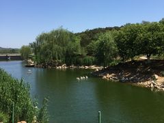 -北京张裕爱斐堡酒庄