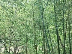 -西安祥峪森林公园