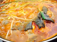 酸汤鱼-弘烨 贵州酸汤 鱼火锅(东财店)