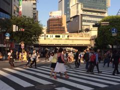 -涩谷全向十字路口