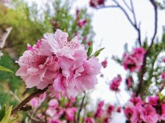 -国家植物园