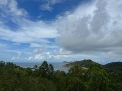 -广东惠东海龟国家级自然保护区