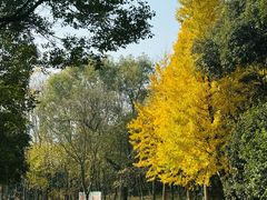 -宝界山林公园