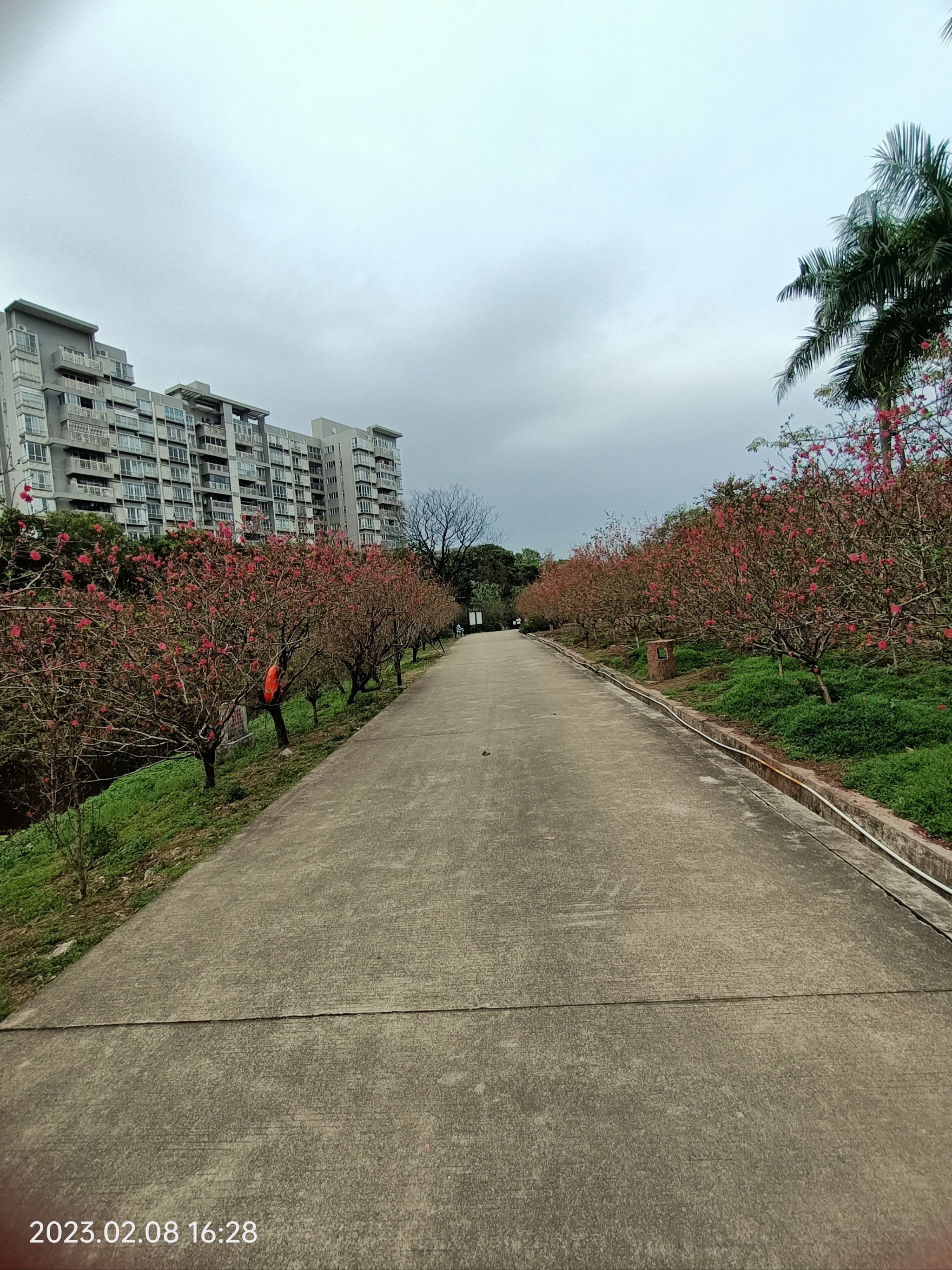 石马桃花公园