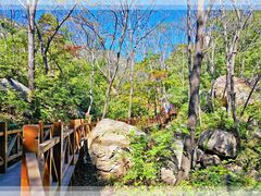 -大岭沟猕猴桃谷风景区