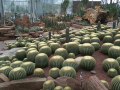 -南通洲际绿博园