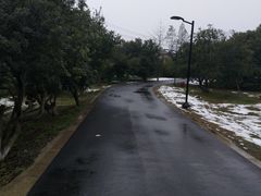 -宝岩生态观光园