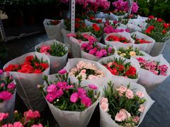 -金科花卉市场
