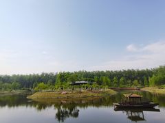 -合肥滨湖国家森林公园