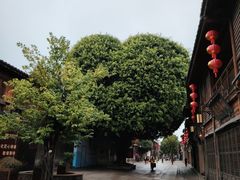 -三坊七巷历史文化街区