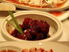 -蝶园·装修中(BFC外滩金融中心店)