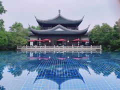 -杭州西子湖四季酒店-WL BISTRO西湖餐厅(灵隐路店)