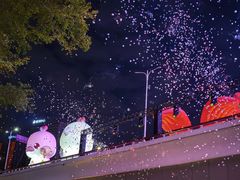 -海心沙亚运公园