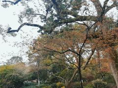 -浙江西子宾馆·瑶园咖啡厅