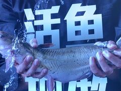 -老板恋上鱼(恒隆广场店)