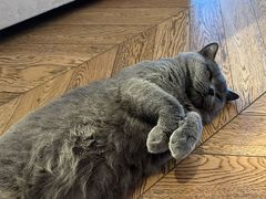 -Me Coffee下午茶艺术空间