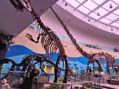 -陕西自然博物馆