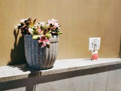 -nata&bica(松江大学城店)