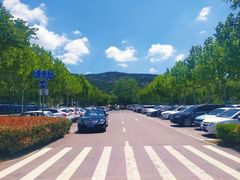 -崂山风景区-大河东游客中心