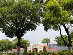 -顺峰山公园