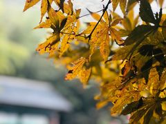 -天目湖涵田半山温泉