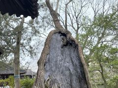 -拙政园