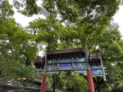 -北京国子监胡同