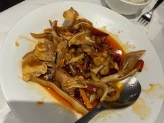 -峨嵋一派