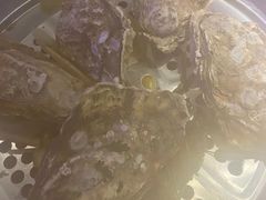 -千岛蚝高压锅生蚝·人参火锅(白云万达店)